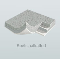 Erikatteed